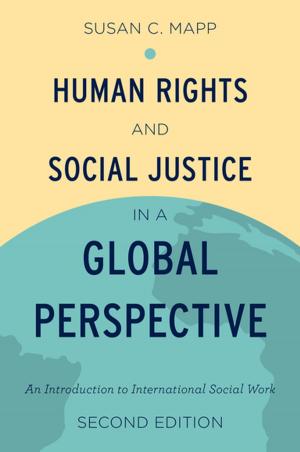 Cover of the book Human Rights and Social Justice in a Global Perspective by 