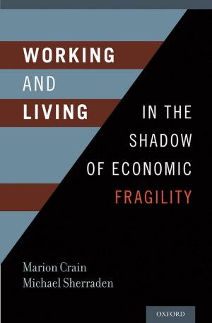 Cover of the book Working and Living in the Shadow of Economic Fragility by Jamila McWhirter