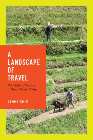 Cover of the book A Landscape of Travel by Nalini Iyer, Amy Bhatt