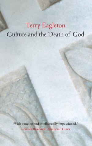 Cover of the book Culture and the Death of God by Steve Fraser