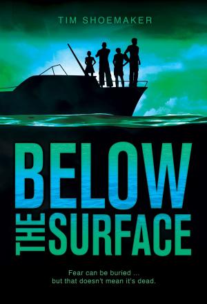 Cover of the book Below the Surface by Dandi Daley Mackall, Lori Walburg