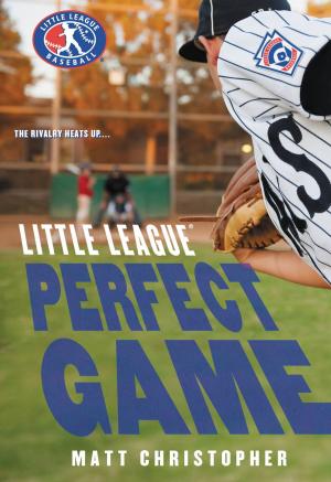 Cover of the book Perfect Game by Jessica Townsend