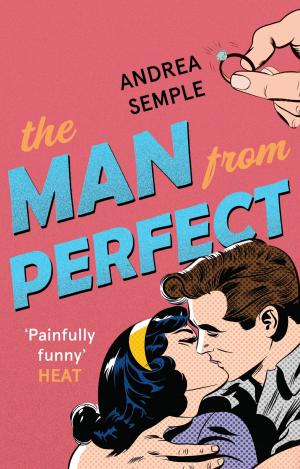 Cover of the book The Man From Perfect by Christopher Brookmyre