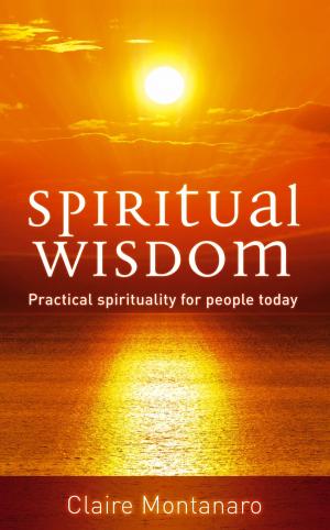 Cover of the book Spiritual Wisdom by Trisha Telep