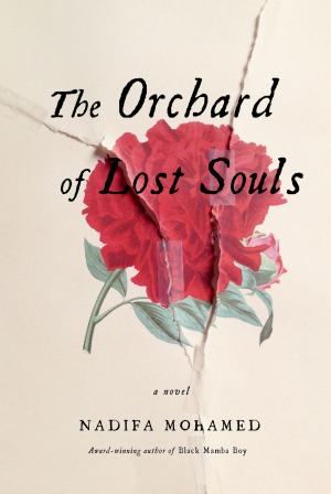 bigCover of the book The Orchard of Lost Souls by 
