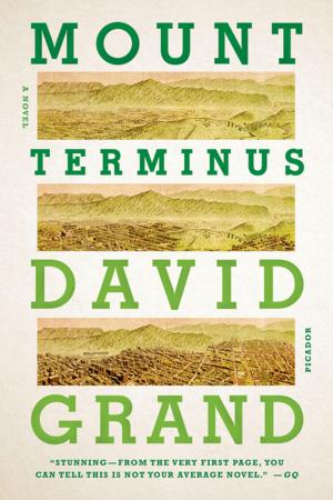 Cover of the book Mount Terminus by Derek Walcott