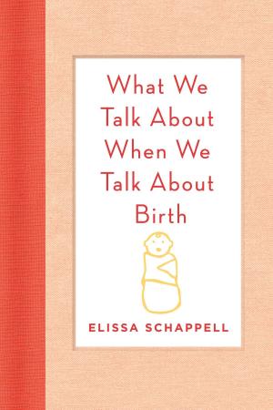 bigCover of the book What We Talk About When We Talk About Birth by 
