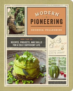 Cover of Modern Pioneering