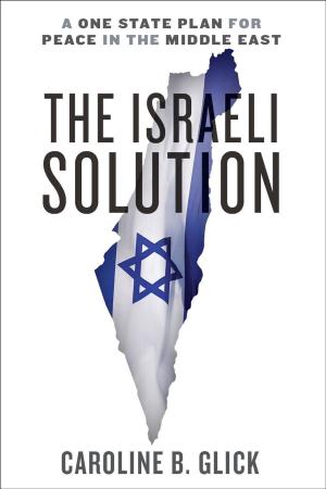 Cover of the book The Israeli Solution by Yossef Bodansky