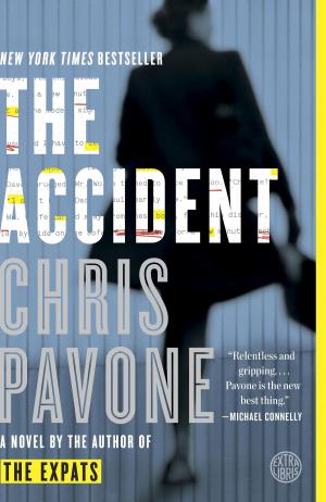 Cover of the book The Accident by Matthew Moseman