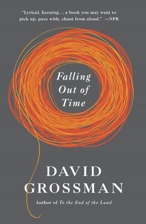 Cover of the book Falling Out of Time by Dave Eggers
