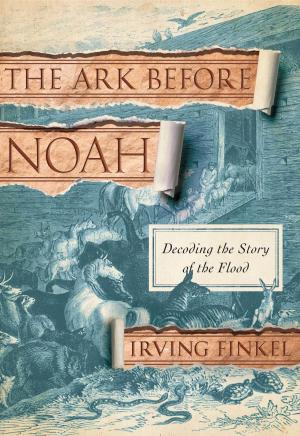 Cover of the book The Ark Before Noah by Pico Iyer