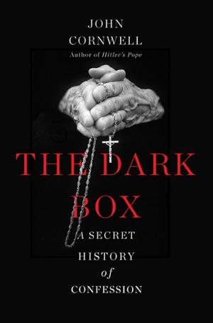 Book cover of The Dark Box