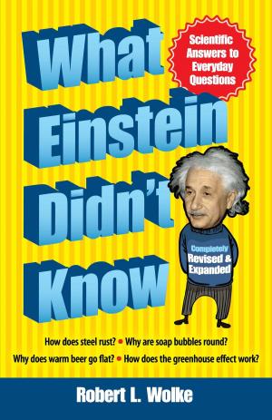 Book cover of What Einstein Didn't Know