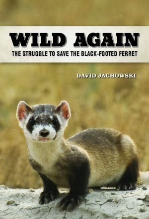 Cover of the book Wild Again by Leon Anderson