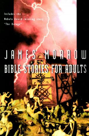Cover of the book Bible Stories for Adults by Arthur M. Schlesinger Jr.