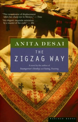 bigCover of the book The Zigzag Way by 