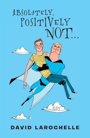Cover of the book Absolutely Positively Not by Ann M. Martin