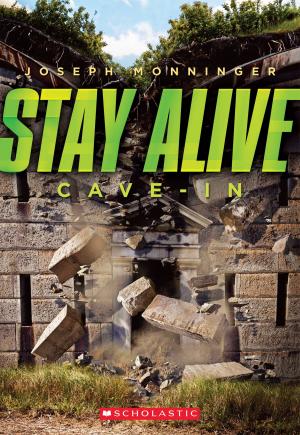 Cover of the book Stay Alive #2: Cave-in by Geronimo Stilton