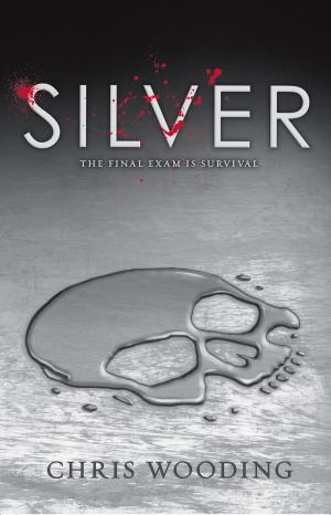 Cover of the book Silver by Jennifer Ziegler