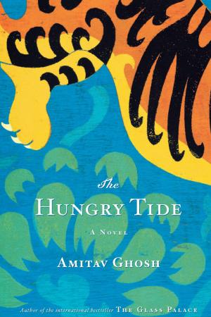 Cover of the book The Hungry Tide by Brian Won