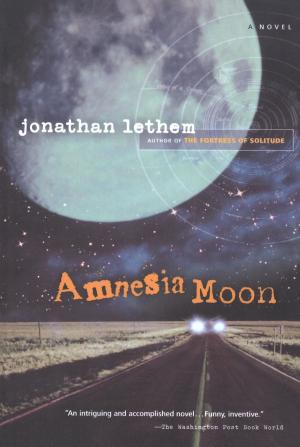Book cover of Amnesia Moon