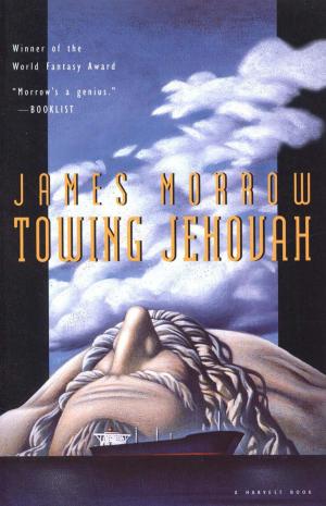 Cover of the book Towing Jehovah by Lois Lowry