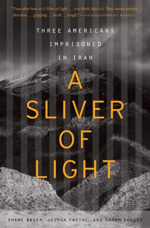 Cover of the book A Sliver of Light by Joel Beckerman, Tyler Gray