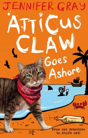 Book cover of Atticus Claw Goes Ashore