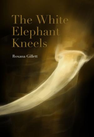 Cover of the book The White Elephant Kneels by DavidJMRussell