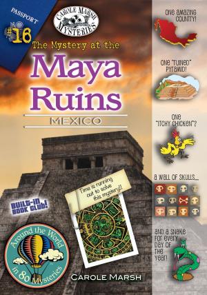 Book cover of The Mystery at the Maya Ruins (Mexico)