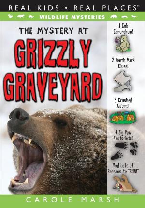 Cover of the book The Mystery at Grizzly Graveyard by Carole Marsh
