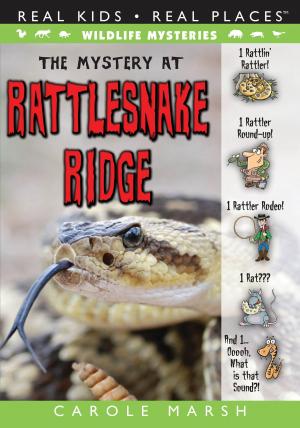 bigCover of the book The Mystery at Rattlesnake Ridge by 