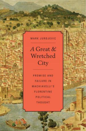 Cover of the book A Great and Wretched City by 