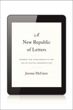 Cover of the book A New Republic of Letters by Christopher L. Pastore