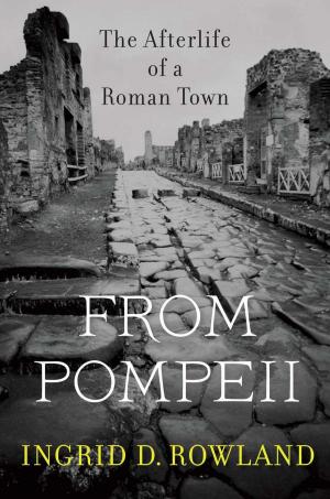 Cover of the book From Pompeii by Jill Elaine Hasday