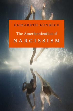 Cover of the book The Americanization of Narcissism by Steven D. Smith