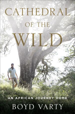 bigCover of the book Cathedral of the Wild by 