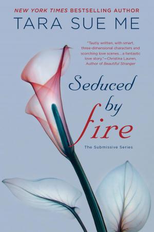 Cover of the book Seduced By Fire by Alexandra Levit