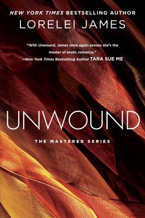 Cover of the book Unwound by Pamela King Cable
