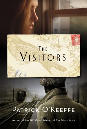 Cover of the book The Visitors by Norman Doidge