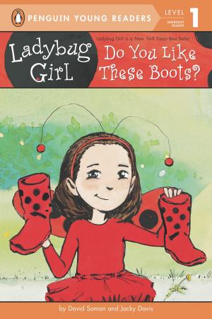 Cover of the book Do You Like These Boots? by David A. Adler