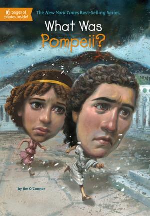Cover of the book What Was Pompeii? by Jenny Goebel