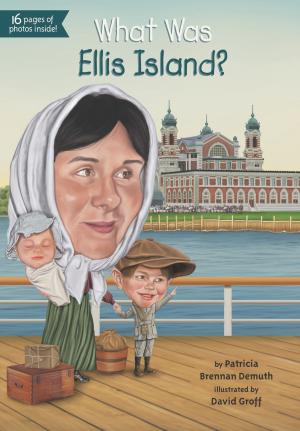 Cover of the book What Was Ellis Island? by Judy Schachner