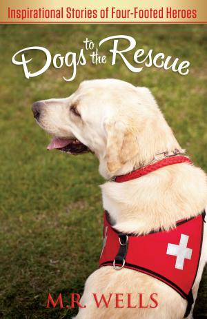 Cover of the book Dogs to the Rescue by Byron Forrest Yawn