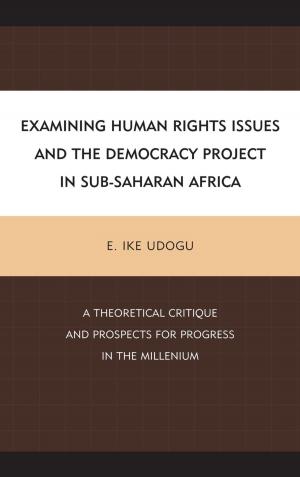 Book cover of Examining Human Rights Issues and the Democracy Project in Sub-Saharan Africa