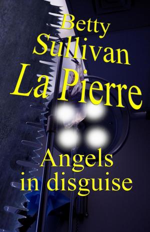 Cover of the book Angels in Disguise by I.M. Tillerman