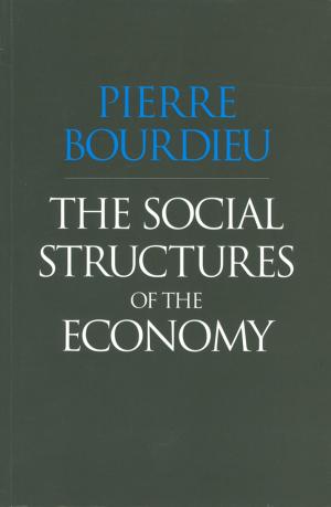 Book cover of The Social Structures of the Economy