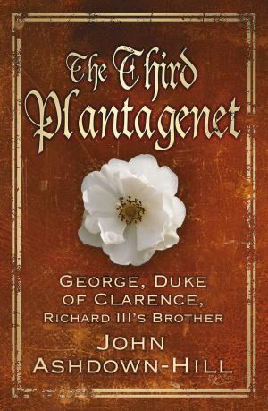 Cover of the book Third Plantagenet by Jo Bath, Richard F. Stevenson