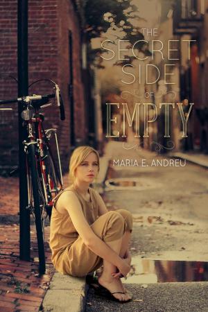 Cover of the book The Secret Side of Empty by Mykel Hawke